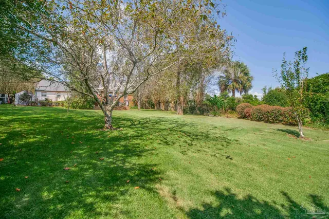 a view of a park with large trees