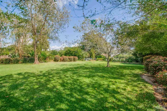 a backyard of a house with plants and trees