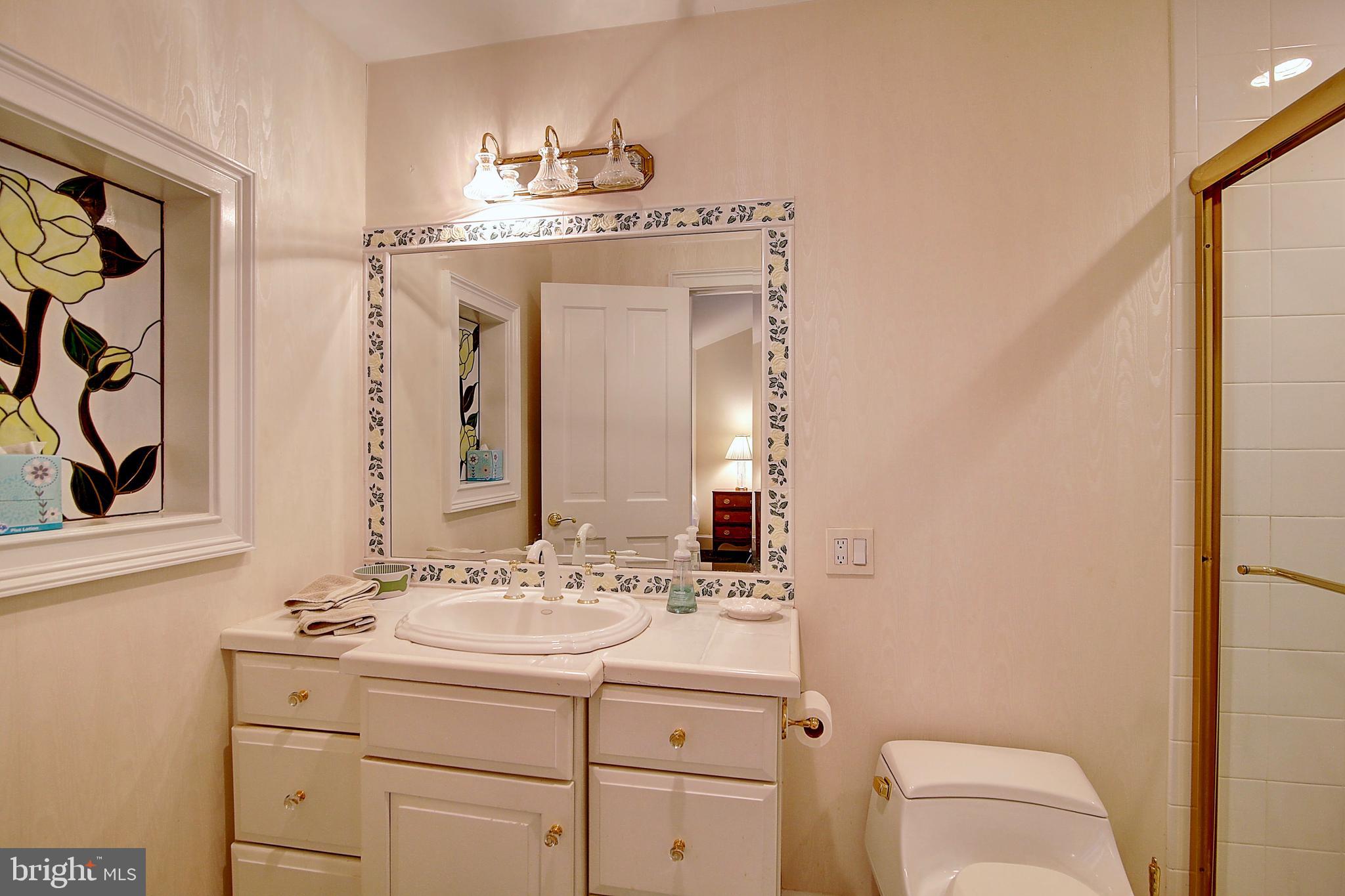 35679 Millville Road Middleburg, VA 20117 - Photo 22 of 64 Bathroom