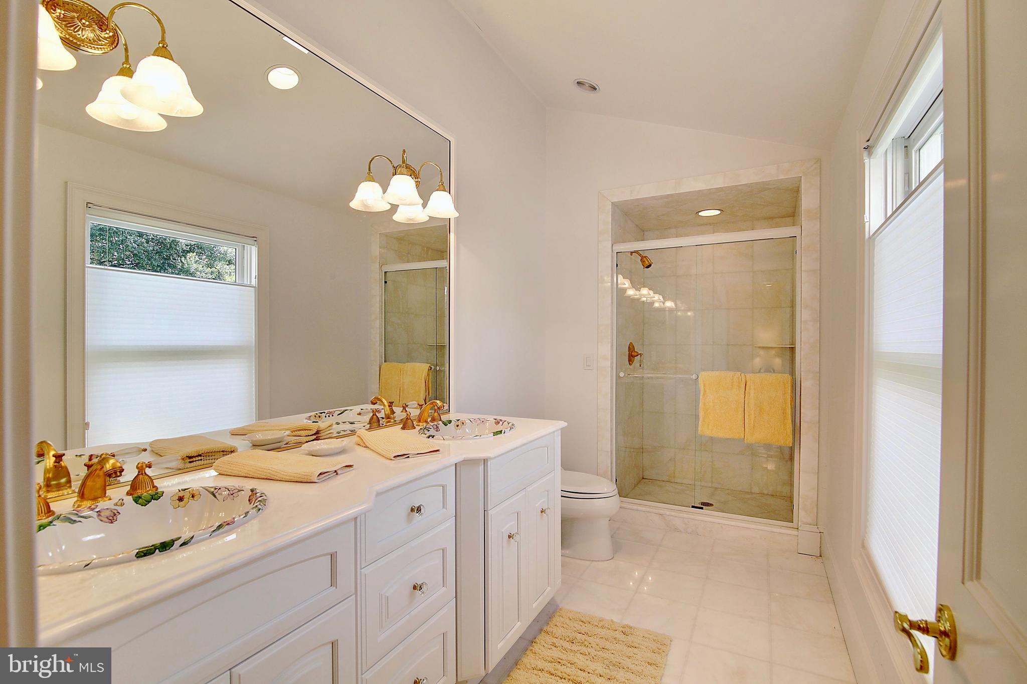 35679 Millville Road Middleburg, VA 20117 - Photo 24 of 64 Bathroom