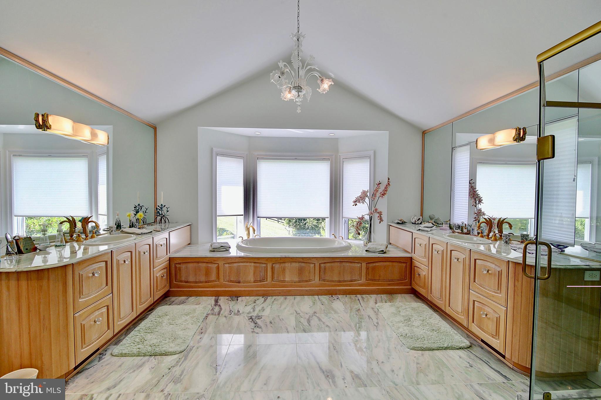35679 Millville Road Middleburg, VA 20117 - Photo 27 of 64 Master Bathroom