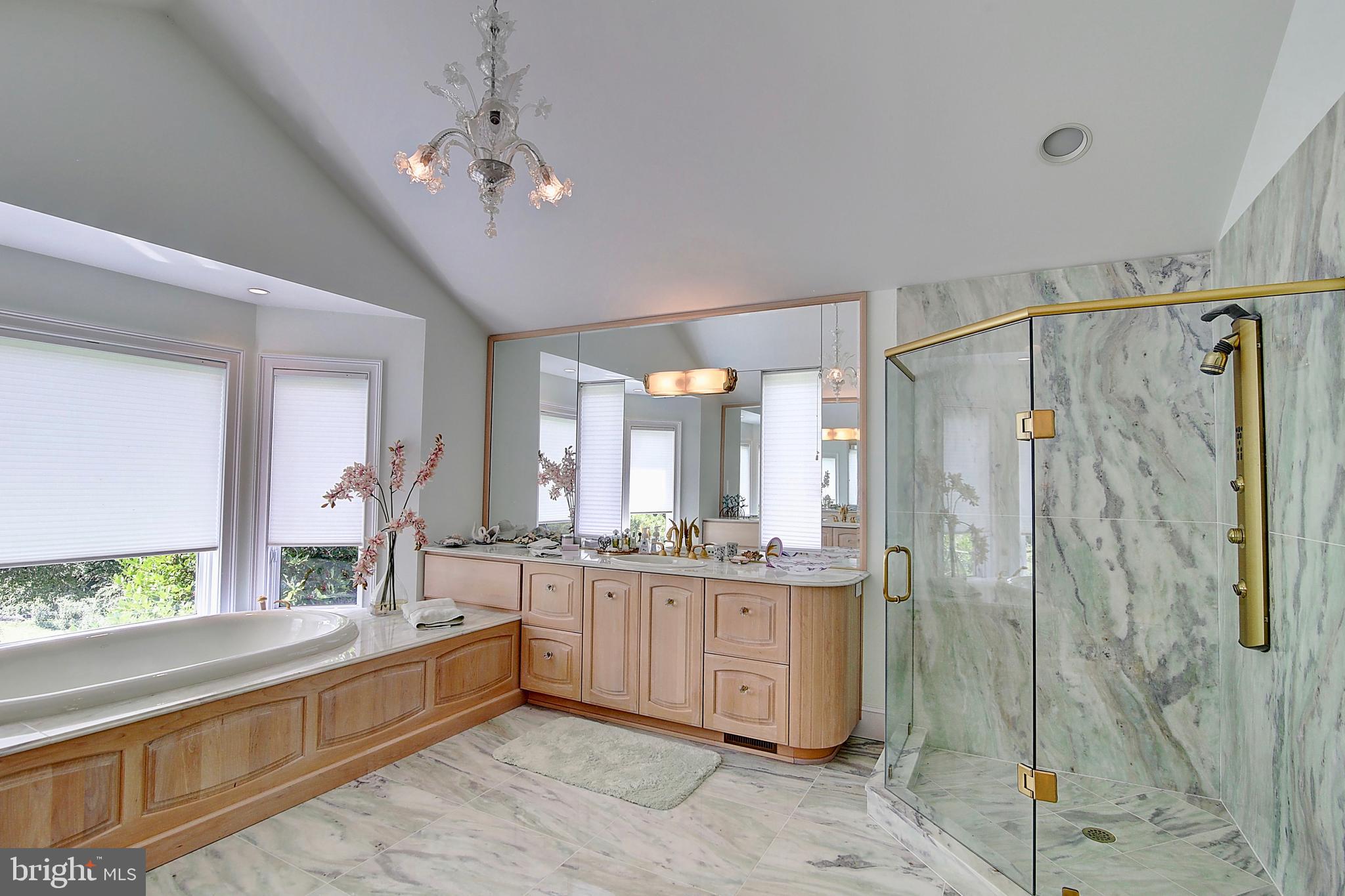 35679 Millville Road Middleburg, VA 20117 - Photo 28 of 64 Master Bathroom