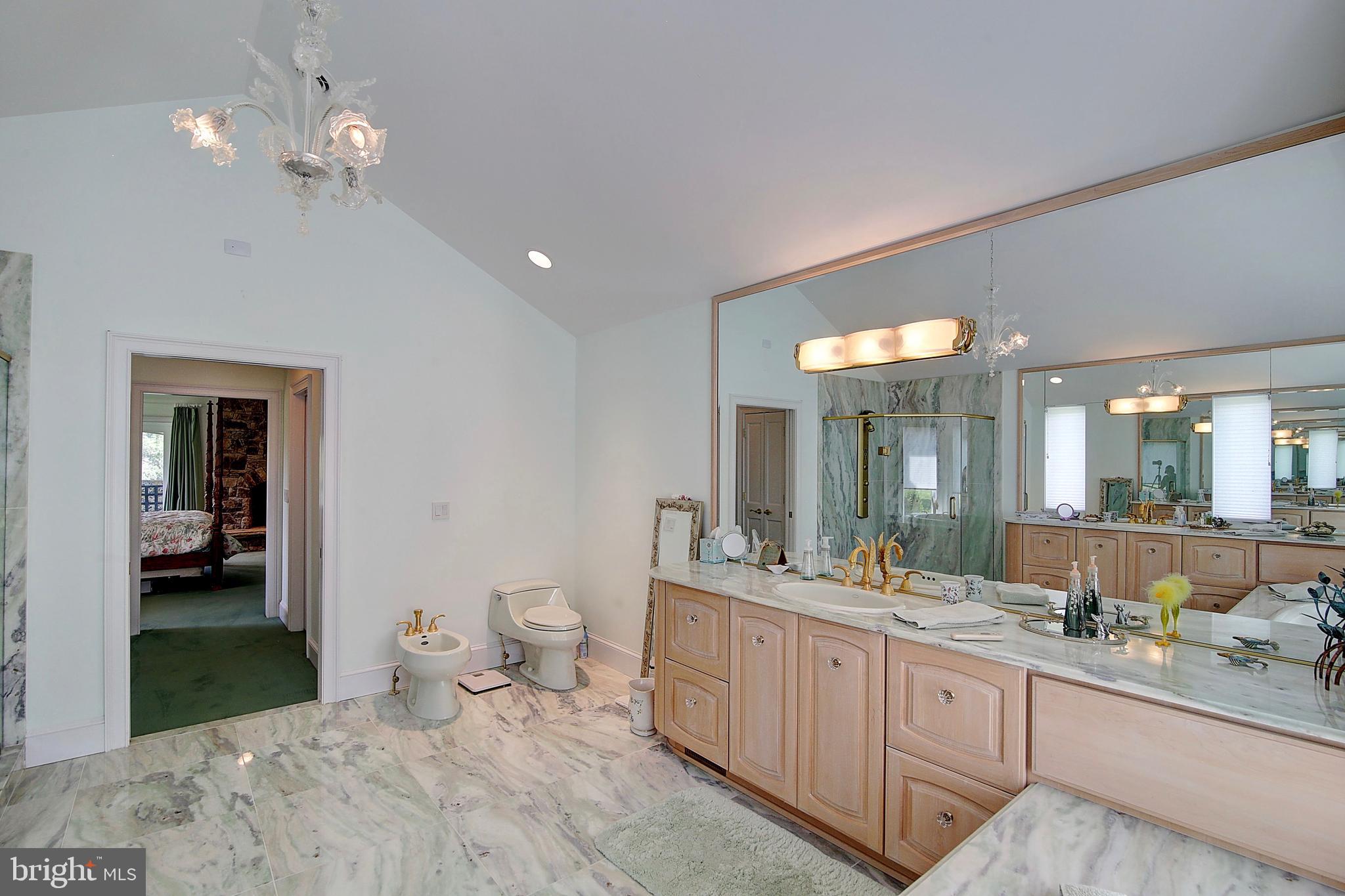 35679 Millville Road Middleburg, VA 20117 - Photo 29 of 64 Master Bathroom