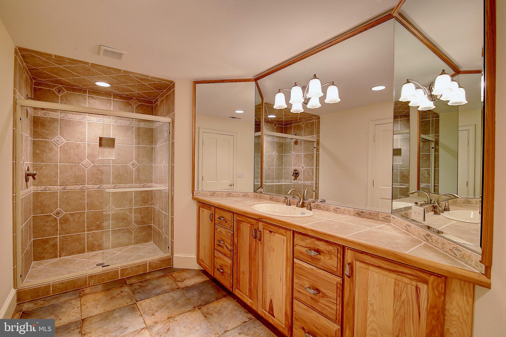 35679 Millville Road Middleburg, VA 20117 - Photo 31 of 64 Basement bathroom