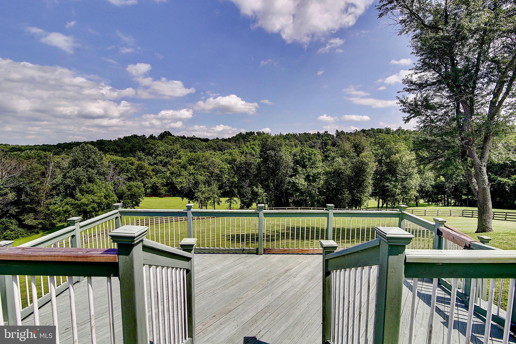 35679 Millville Road Middleburg, VA 20117 - Photo 36 of 64 Deck