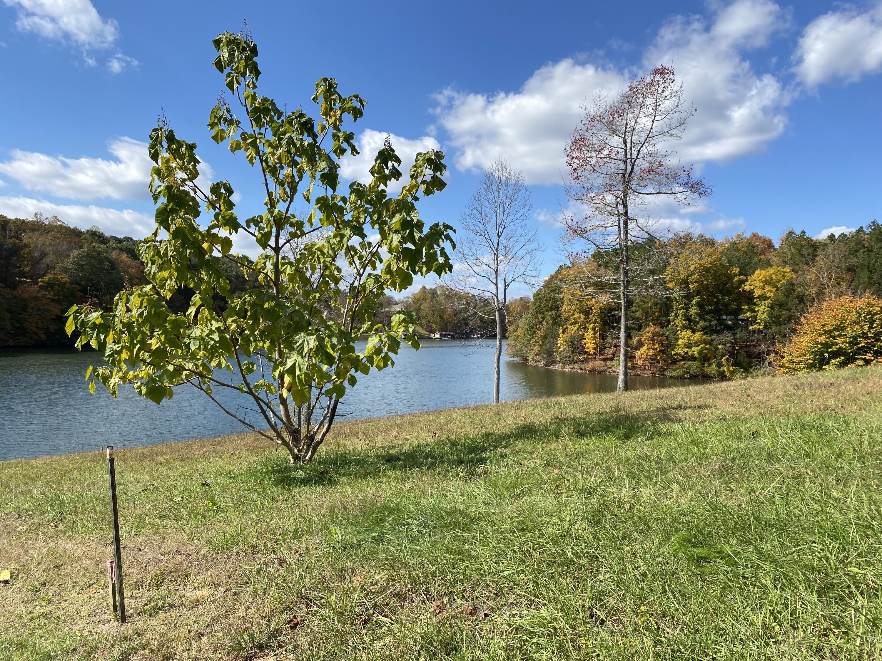 Lot 2 Old Point Road Moneta, VA 24121 - Photo 2 of 12 a view of a garden