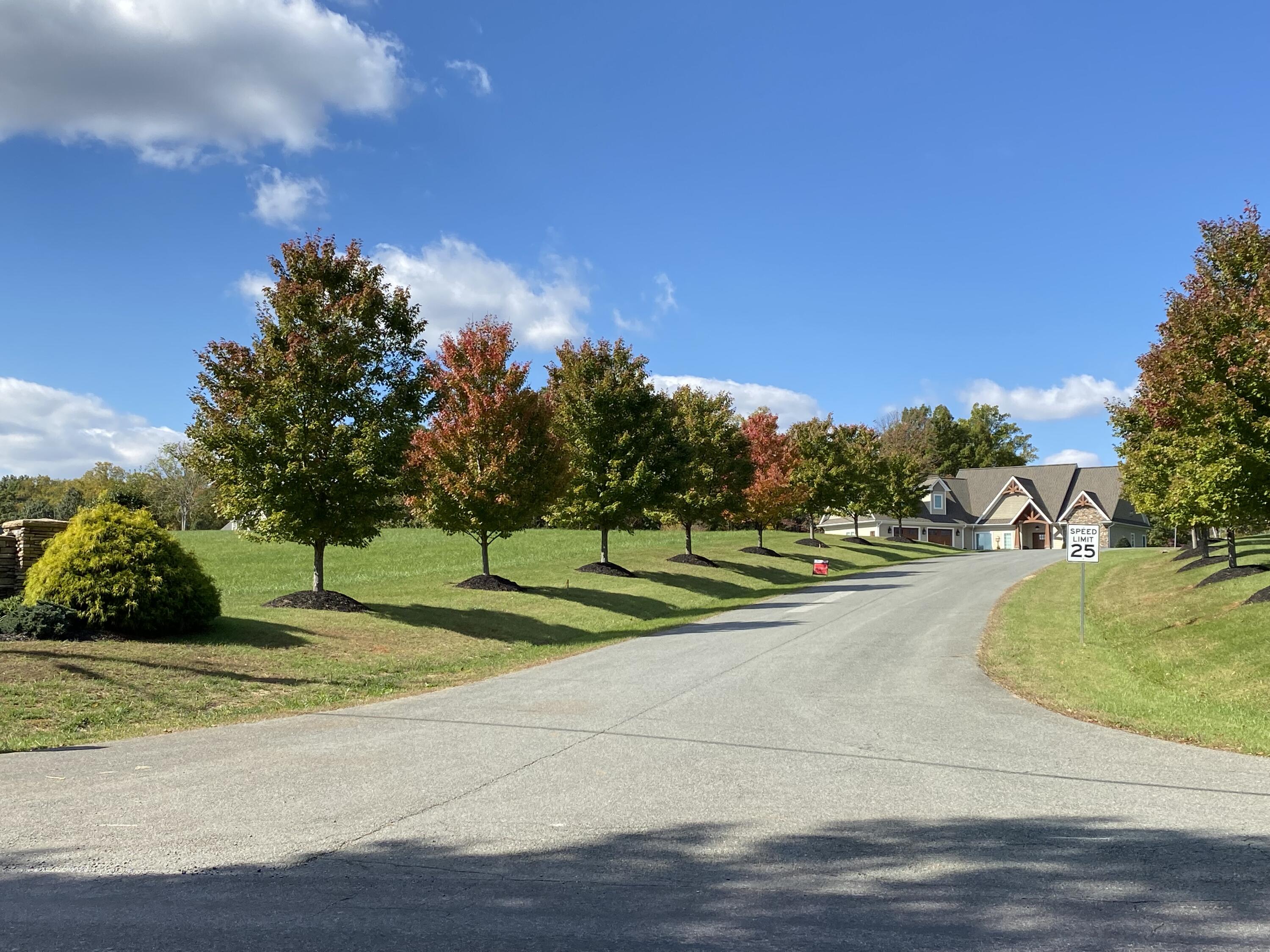 Lot 2 Old Point Road Moneta, VA 24121 - Photo 7 of 12 a view of a playground with basketball court