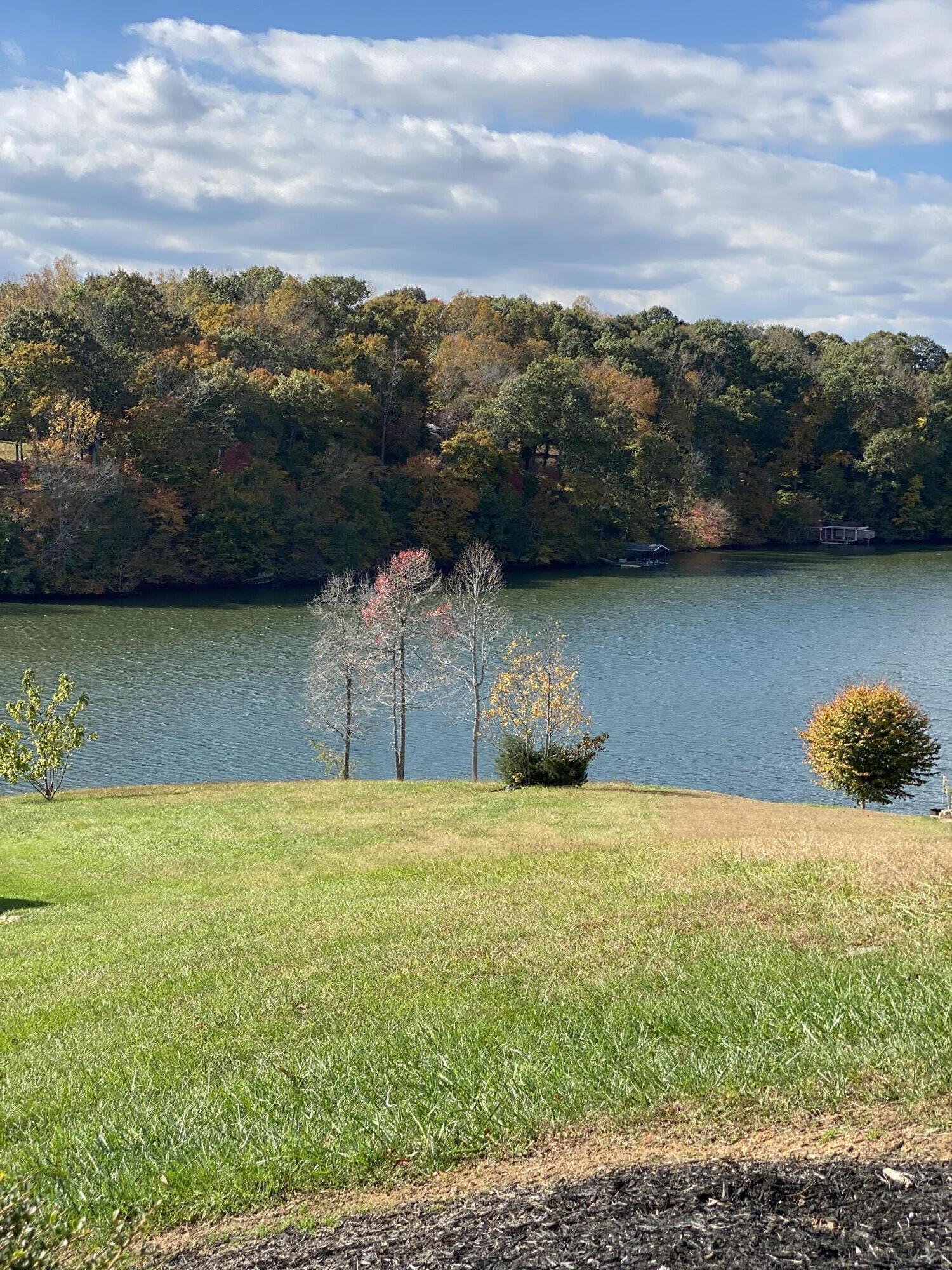 Lot 2 Old Point Road Moneta, VA 24121 - Photo 10 of 12 a view of a lake in middle of the town
