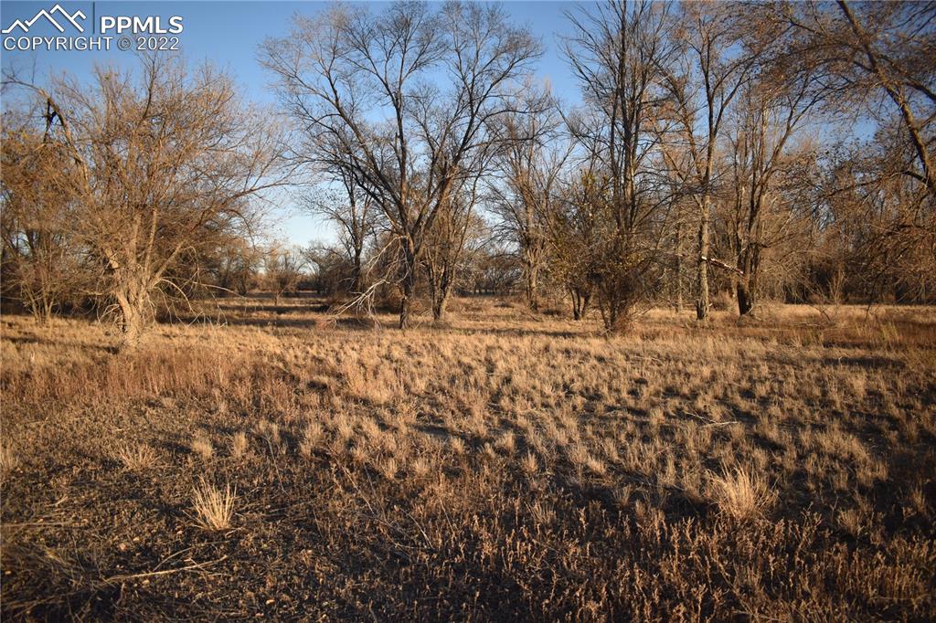 9250 County Road East Olney Springs, CO 81062 - Photo 11 of 32 a view of snow on green field