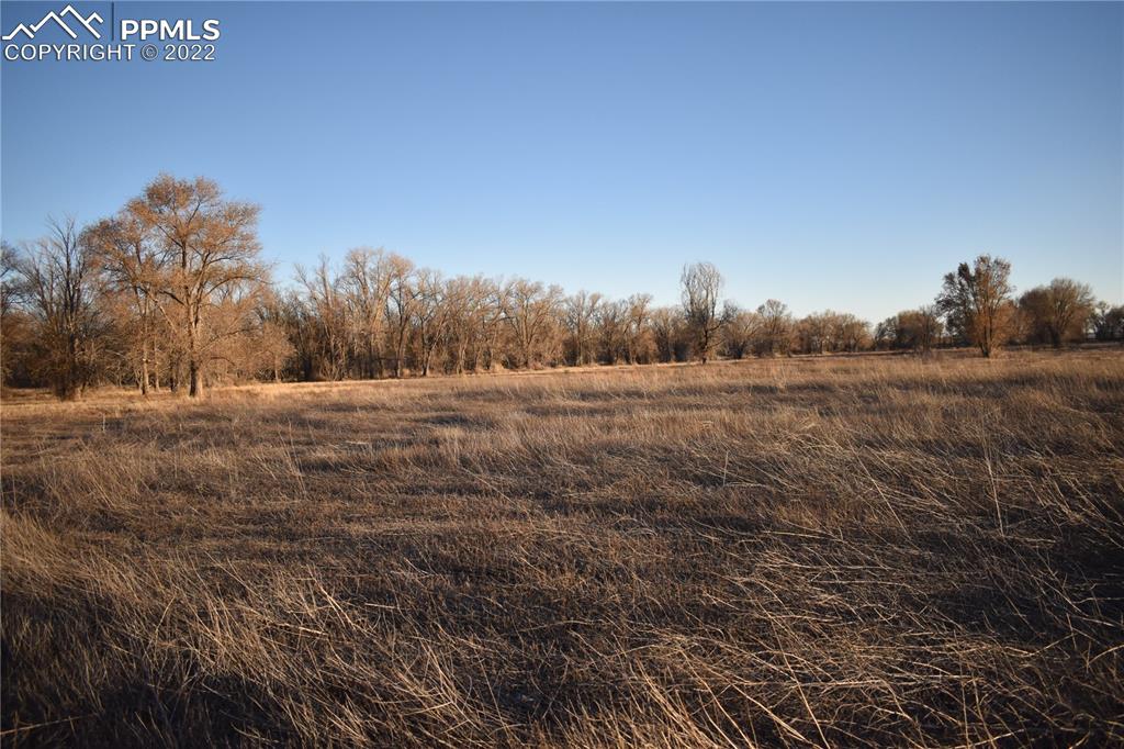 9250 County Road East Olney Springs, CO 81062 - Photo 10 of 32 a view of outdoor space and yard