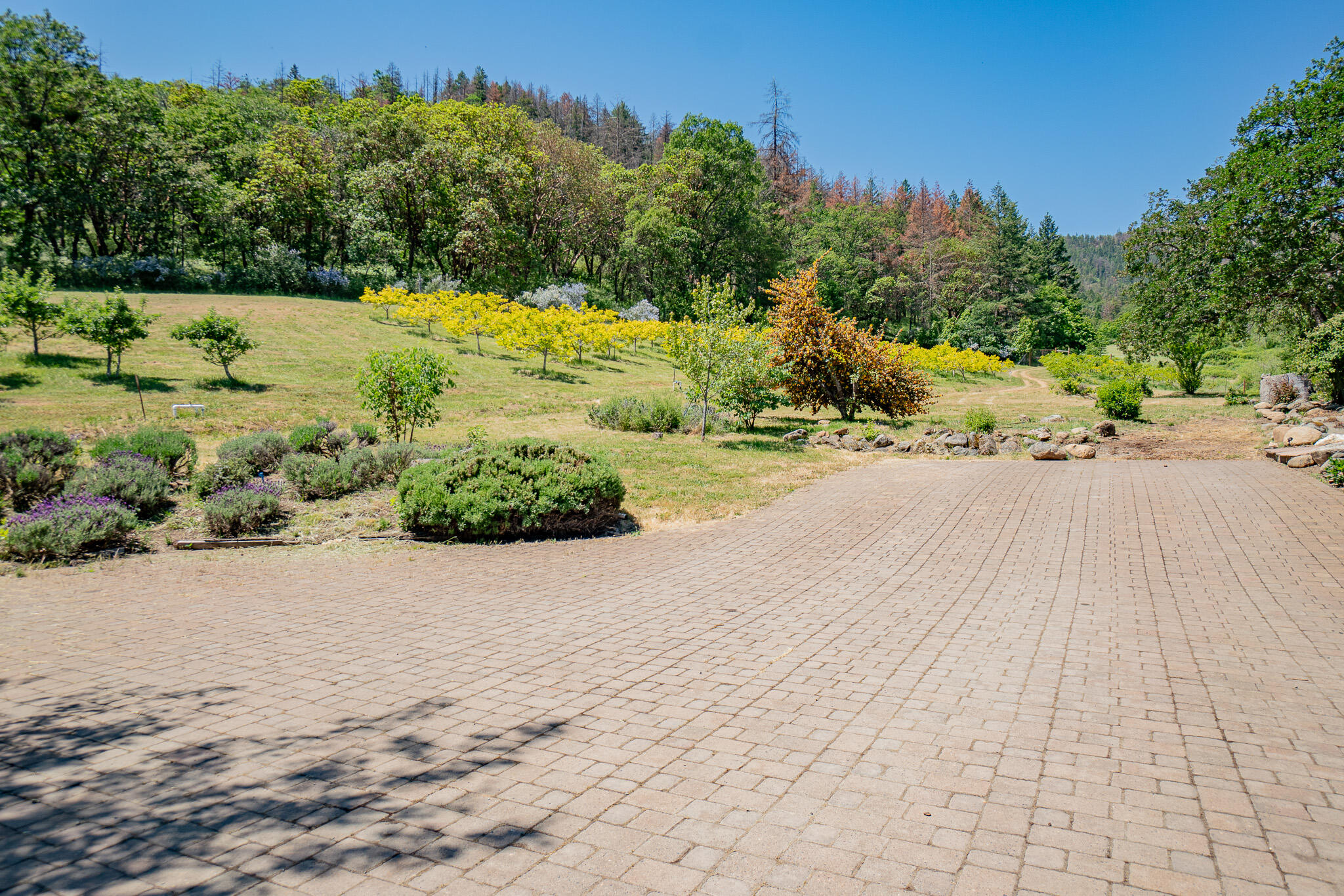 1785 Zemke Road Talent, OR 97540 - Photo 57 of 61 a view of a road with a yard