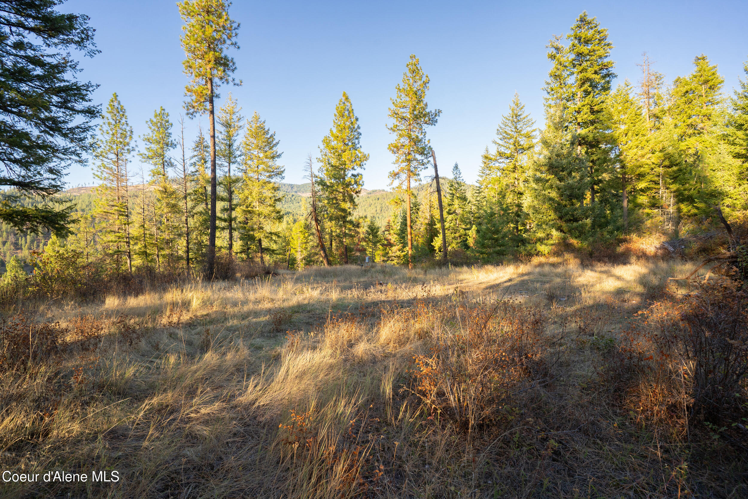 1-2 Moose Mtn Road Priest River, ID 83856 - Photo 7 of 53 42__dsc3833