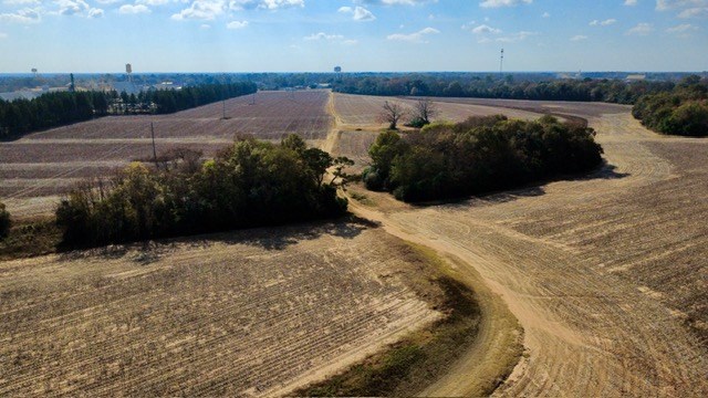 Undisclosed Address Headland, AL 36345 - Photo 13 of 36