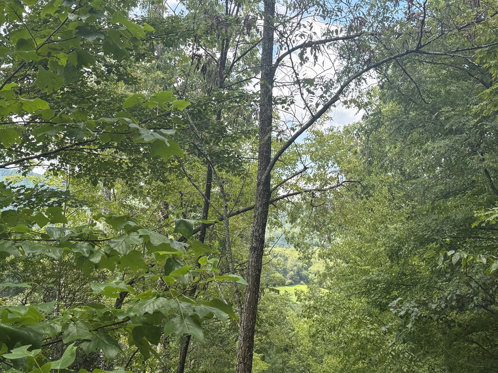0 Bethabara View Hayesville, NC 28904 - Photo 3 of 14