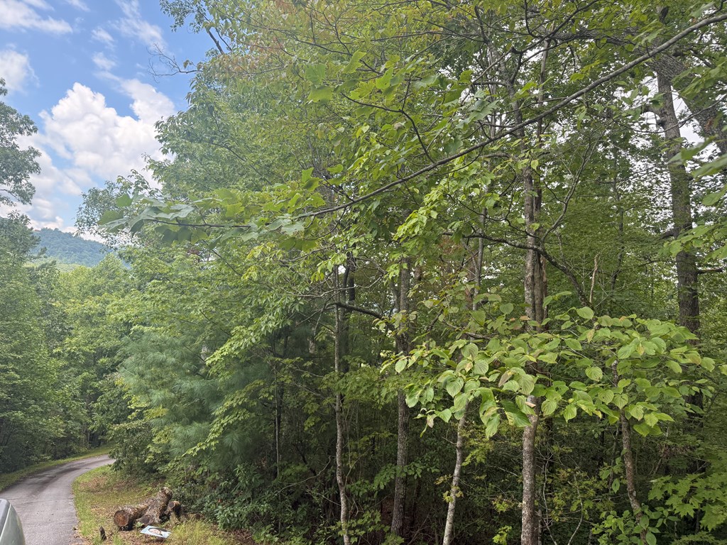 0 Bethabara View Hayesville, NC 28904 - Photo 6 of 14