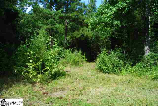 Lot 19 Lisbon Road Laurens, SC 29360 - Photo 11 of 25 Gallery Image 11