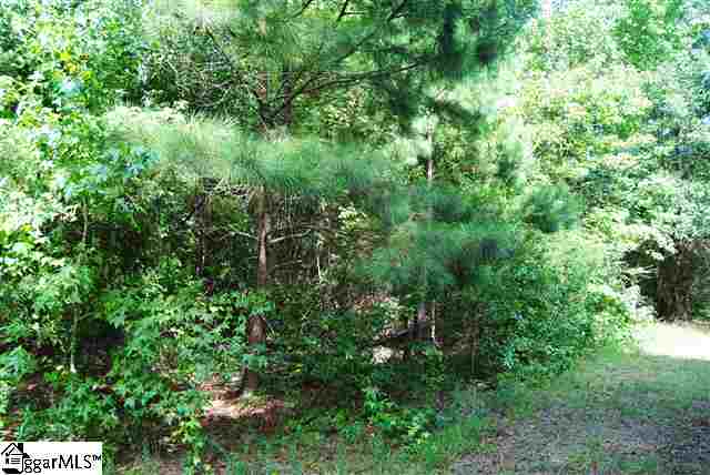 Lot 19 Lisbon Road Laurens, SC 29360 - Photo 15 of 25 Gallery Image 15