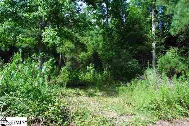 Lot 19 Lisbon Road Laurens, SC 29360 - Photo 3 of 25 Gallery Image 3