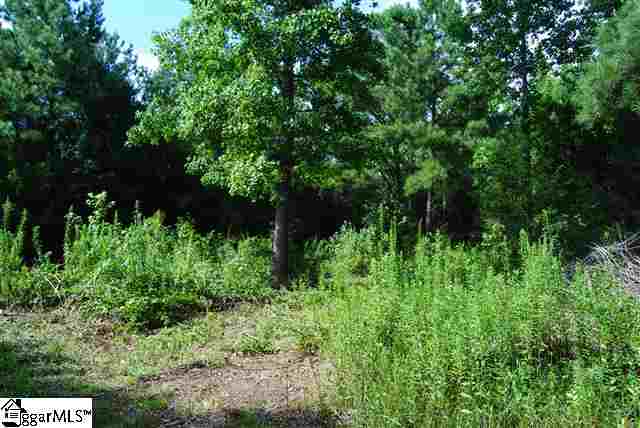 Lot 19 Lisbon Road Laurens, SC 29360 - Photo 21 of 25 Gallery Image 21