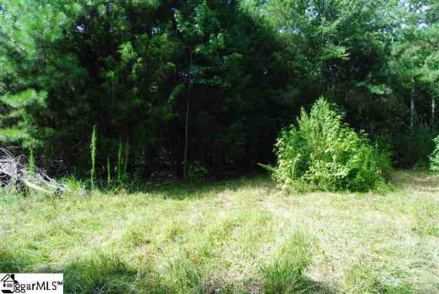 Lot 19 Lisbon Road Laurens, SC 29360 - Photo 22 of 25 Gallery Image 22