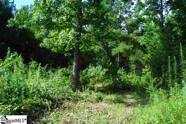 Lot 19 Lisbon Road Laurens, SC 29360 - Photo 23 of 25 Gallery Image 23