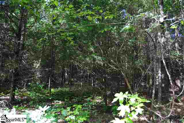 Lot 19 Lisbon Road Laurens, SC 29360 - Photo 24 of 25 Gallery Image 24