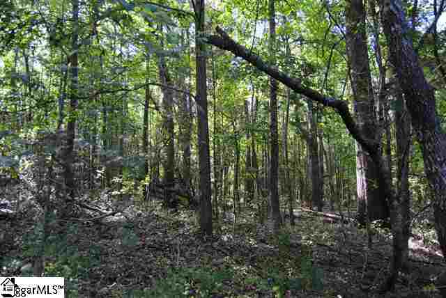 Lot 19 Lisbon Road Laurens, SC 29360 - Photo 25 of 25 Gallery Image 25