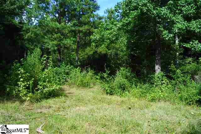 Lot 19 Lisbon Road Laurens, SC 29360 - Photo 4 of 25 Gallery Image 4