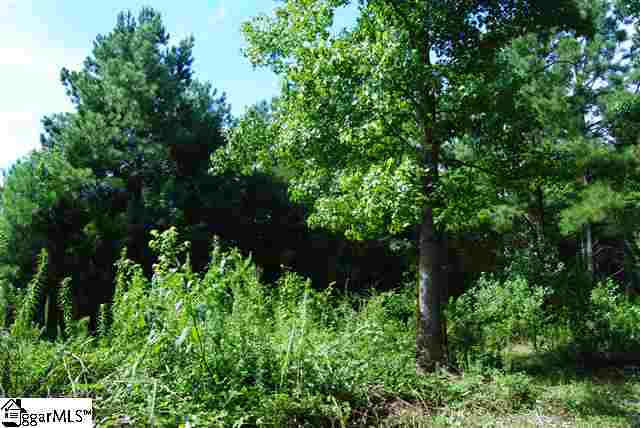 Lot 19 Lisbon Road Laurens, SC 29360 - Photo 5 of 25 Gallery Image 5