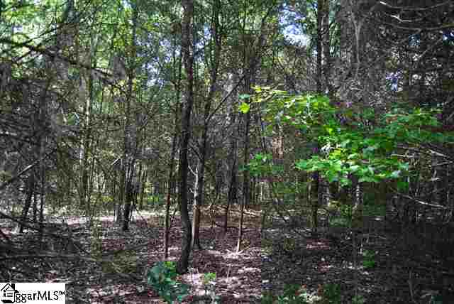 Lot 19 Lisbon Road Laurens, SC 29360 - Photo 6 of 25 Gallery Image 6