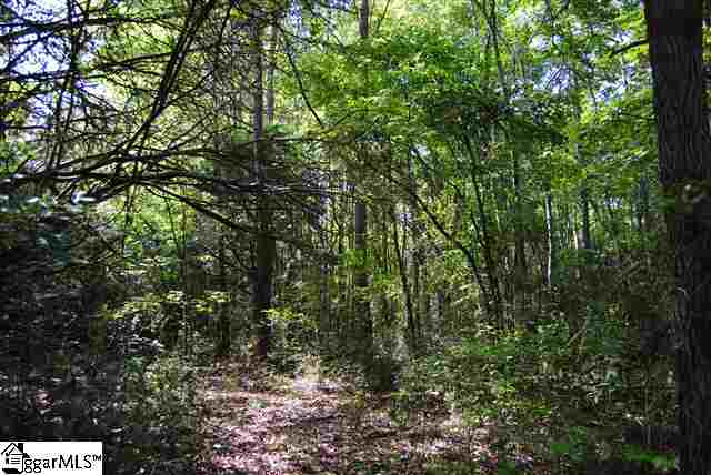 Lot 19 Lisbon Road Laurens, SC 29360 - Photo 7 of 25 Gallery Image 7