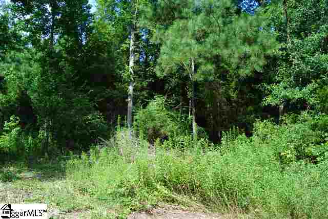 Lot 19 Lisbon Road Laurens, SC 29360 - Photo 10 of 25 Gallery Image 10