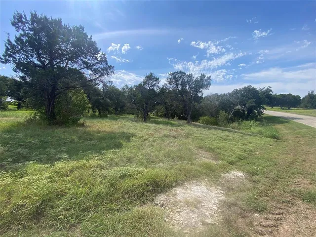 a view of a field with trees in the background
