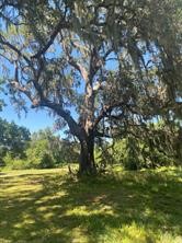 663 Pony Trail Angleton, TX 77515 - Photo 3 of 8