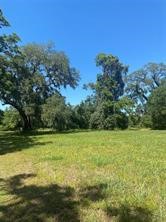 663 Pony Trail Angleton, TX 77515 - Photo 4 of 8