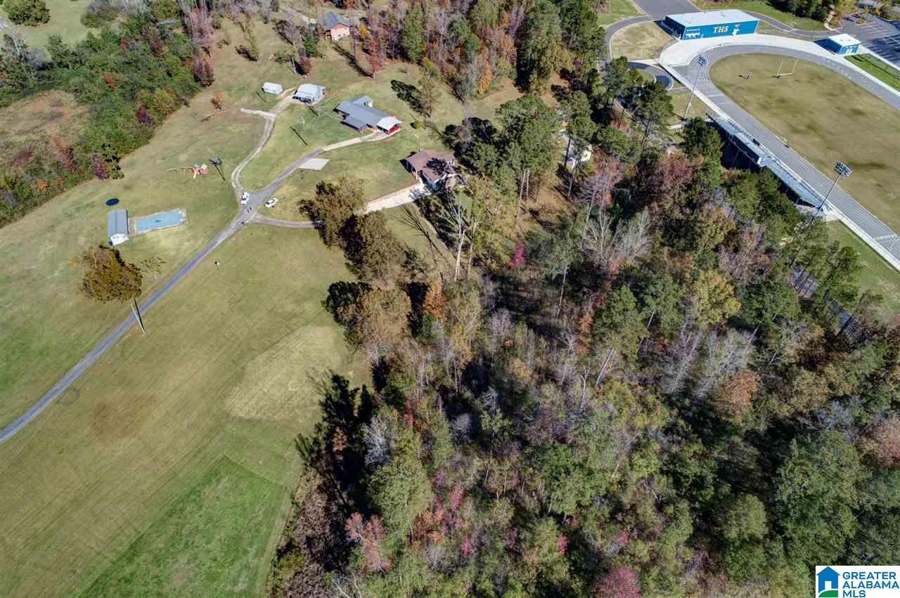 313 Old Black Crk Road Birmingham, AL 35217 - Photo 8 of 49