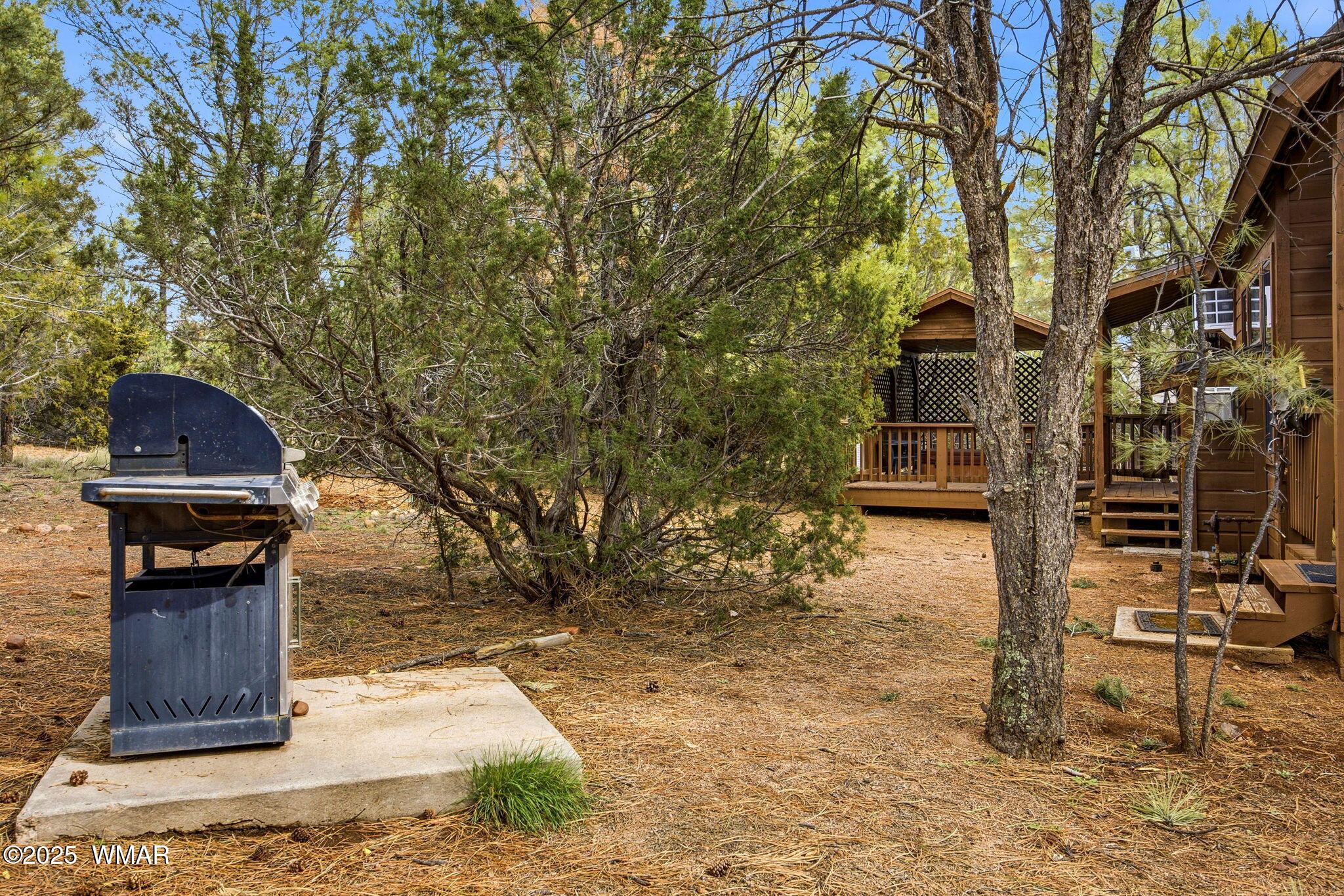 2755 Fox Trail Overgaard, AZ 85933 - Photo 24 of 28 2755FoxTrail-HeberOvergaard-AZ-24
