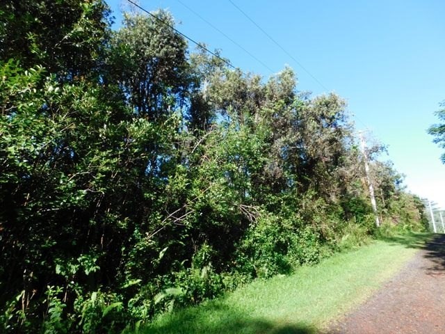 740 Shell Road Pahoa, HI 96778 - Photo 1 of 7 Gallery Image 1