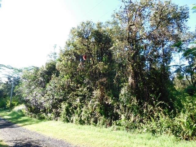 740 Shell Road Pahoa, HI 96778 - Photo 2 of 7 Gallery Image 2