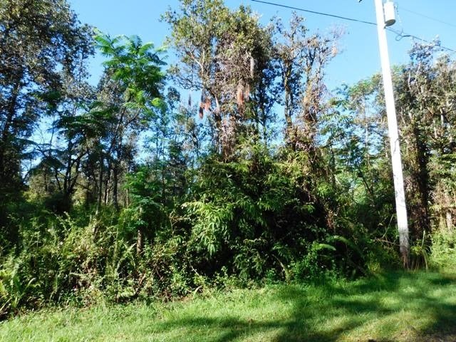 740 Shell Road Pahoa, HI 96778 - Photo 3 of 7 Gallery Image 3