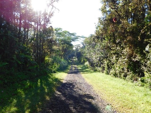 740 Shell Road Pahoa, HI 96778 - Photo 4 of 7 Gallery Image 4