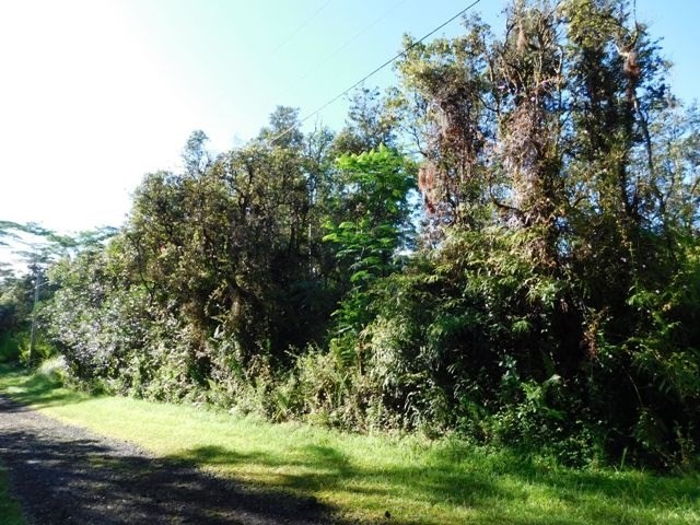 740 Shell Road Pahoa, HI 96778 - Photo 5 of 7 Gallery Image 5