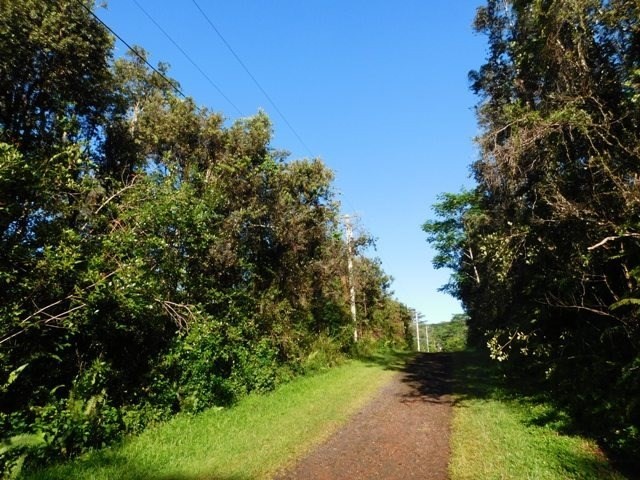 740 Shell Road Pahoa, HI 96778 - Photo 6 of 7 Gallery Image 6
