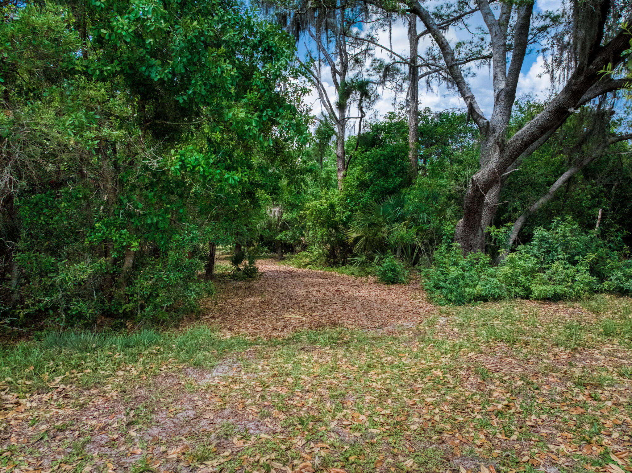 2009 Forest Lakes Road Sebring, FL 33875 - Photo 14 of 27 exterior - 27