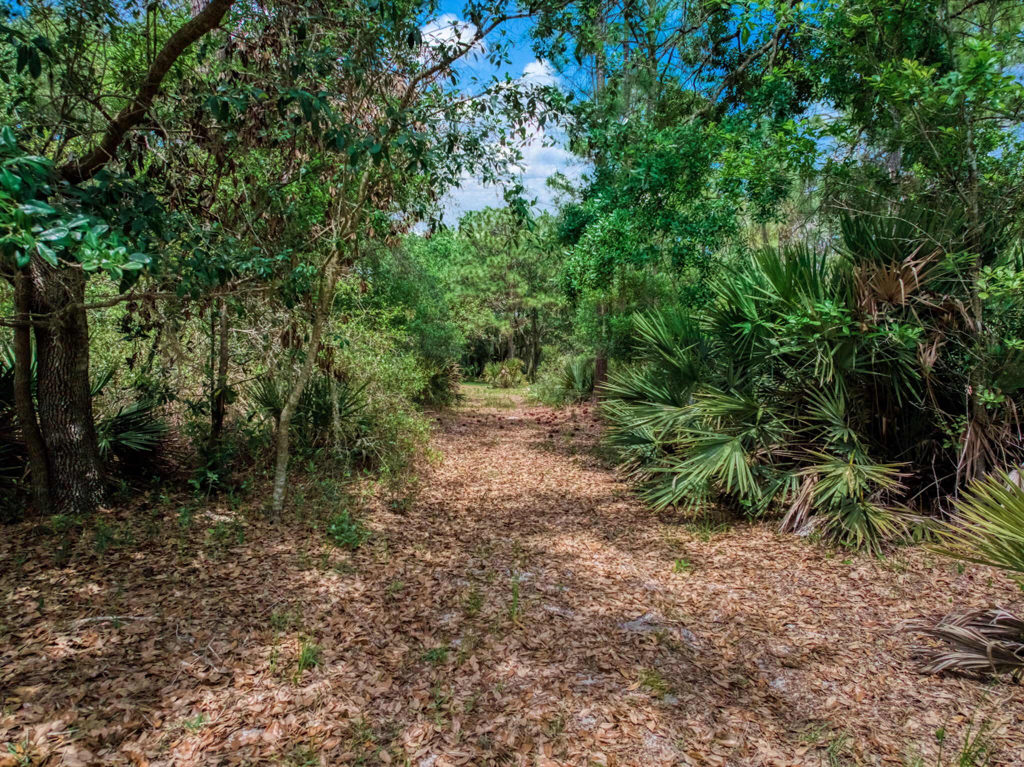 2009 Forest Lakes Road Sebring, FL 33875 - Photo 15 of 27 exterior - 26