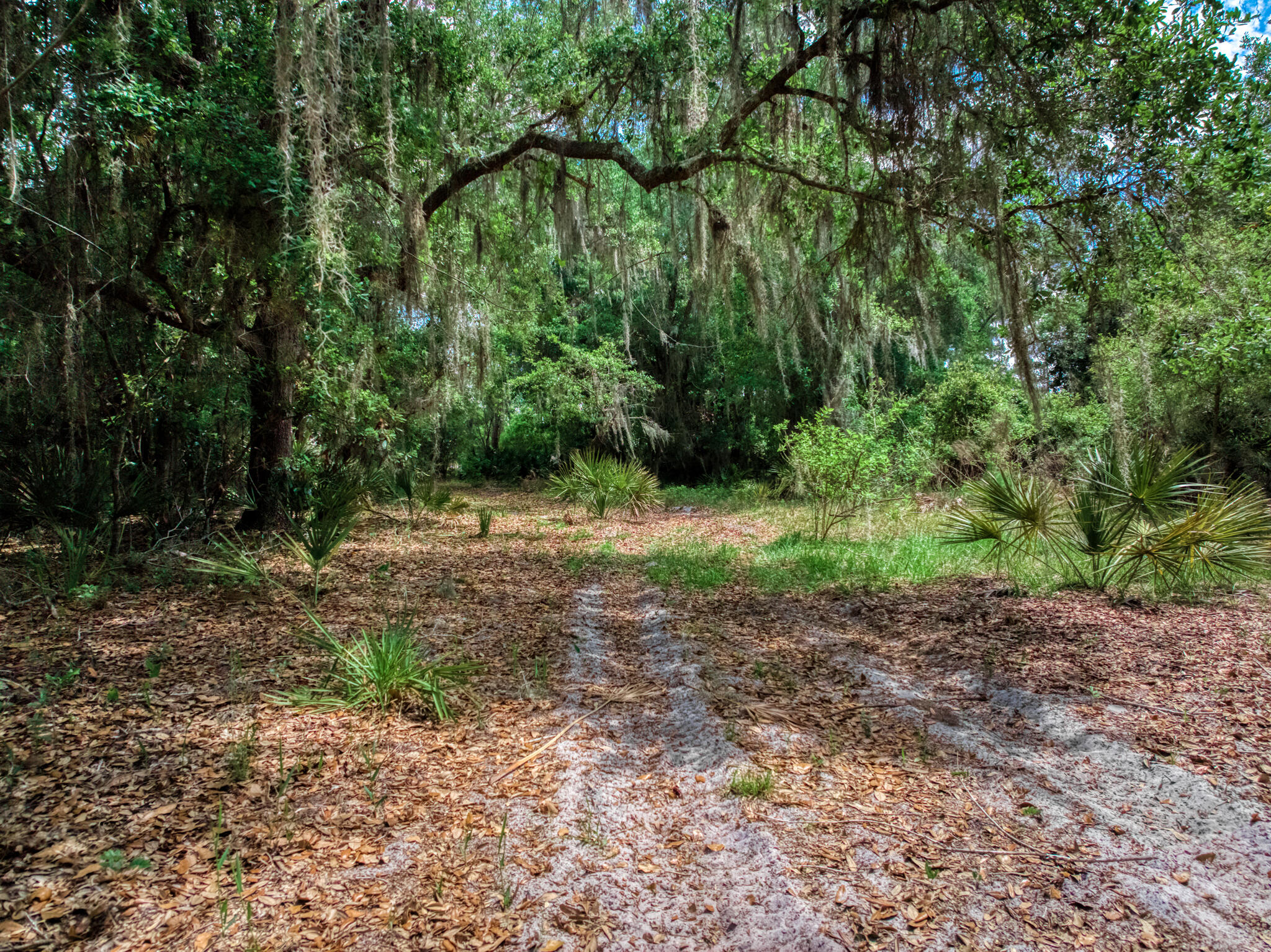 2009 Forest Lakes Road Sebring, FL 33875 - Photo 16 of 27 exterior - 25