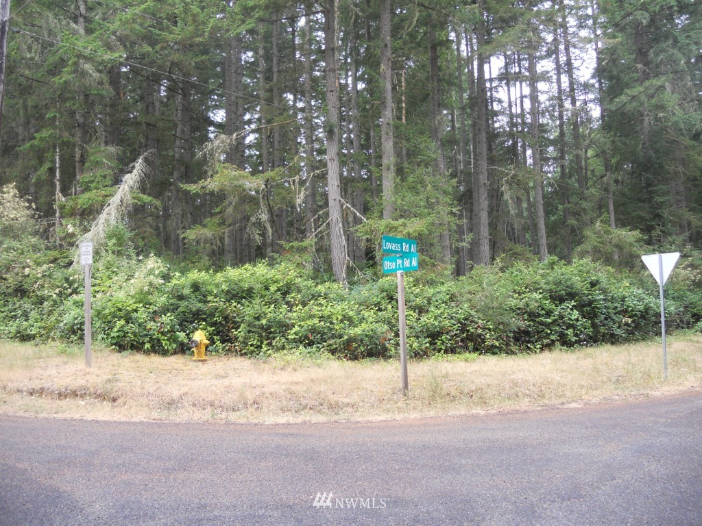 12606 Lovass Road Anderson Island, WA 98303 - Photo 1 of 3