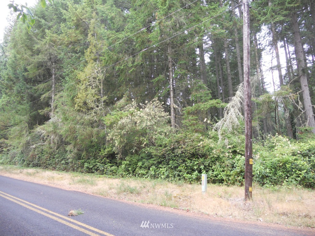 12606 Lovass Road Anderson Island, WA 98303 - Photo 3 of 3