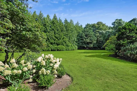 a view of a garden with large trees