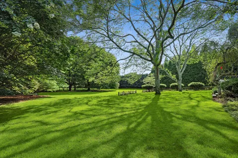 a view of field with trees